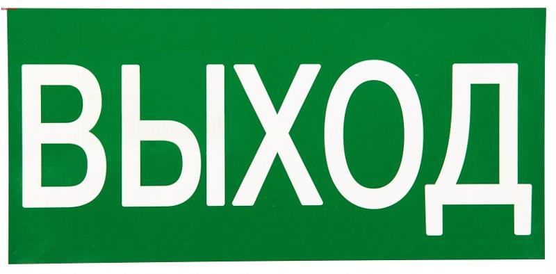 Знак "ВЫХОД" 150х300мм PROxima | an-5-03 | EKF — EKF