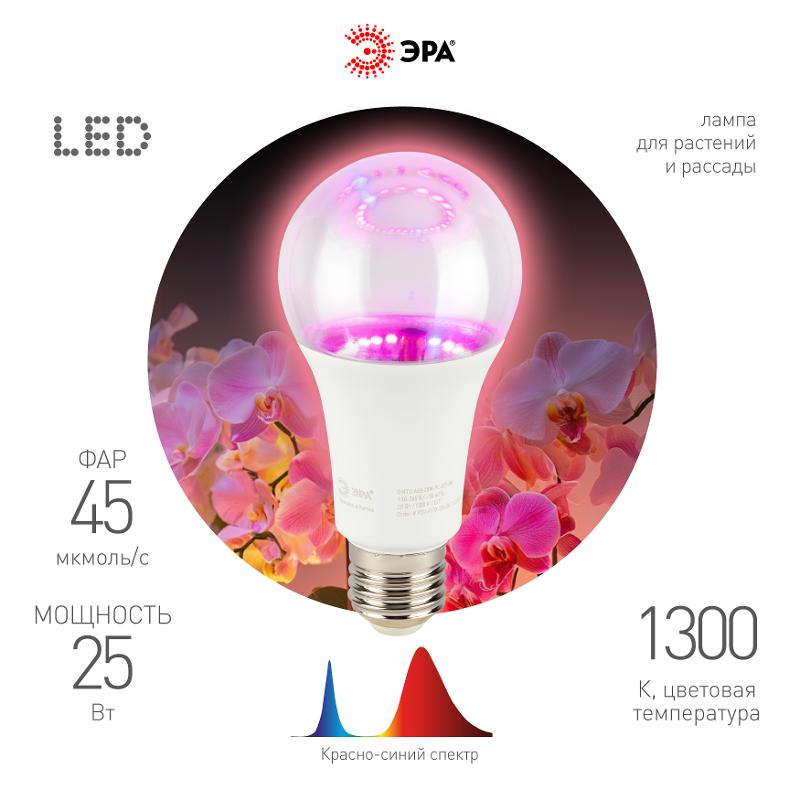 Фитолампа для растений светодиодная  FITO-25W-RB-E27 красно-синего спектра 25 Вт Е27 | Б0069712 | ЭРА — ЭРА (Энергия света)