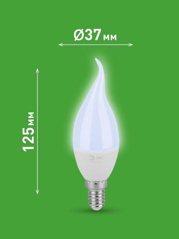 Лампа светодиодная  GREEN LINE LED BXS-6W-865-E14 GL E14 6 Вт свеча на ветру холодный свет | Б0067113 | ЭРА — миниатюра 2