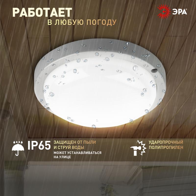 Светильник светодиодный для ЖКХ SPB-201-0-40K-018 настенно-потолочный IP65, D 210 мм, 18Вт, 4000К, рассеиватель матовый — миниатюра 3