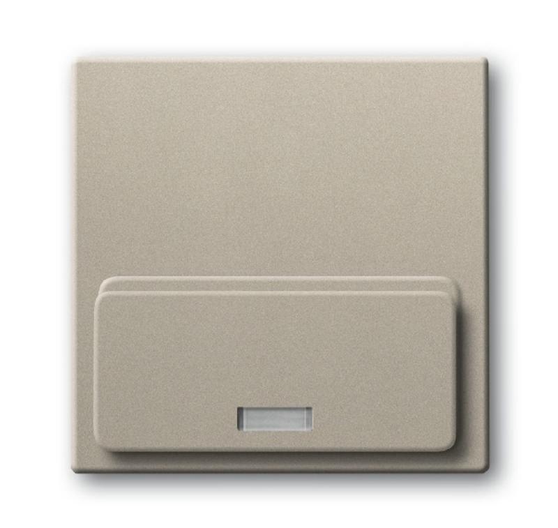 ABB Basic 55 Шампань Плата центральная (накладка)для механизма док-станции Busch-iDock 8218 U | 8200-0-0159 | ABB — ABB