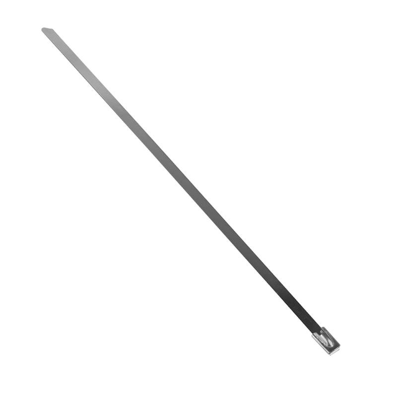Хомут AISI 304 из нержавеющей стали, 4.6x200 (10 шт.) FlexLock PROxima | plc-fl-tss-304-4.6x200-r | EKF — миниатюра 3