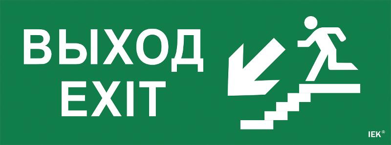 Пиктограмма (наклейка) "Выход/лестница вниз/фигура" ССА 1005 | LPC10-1-35-13-VLVNF | IEK — фото 1 | Sento