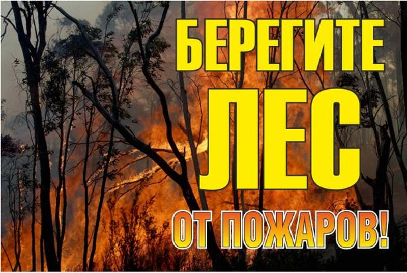 Знак "Берегите лес от огня!" 1200х800 мм | zn-1-02 | EKF — фото 1 | Sento