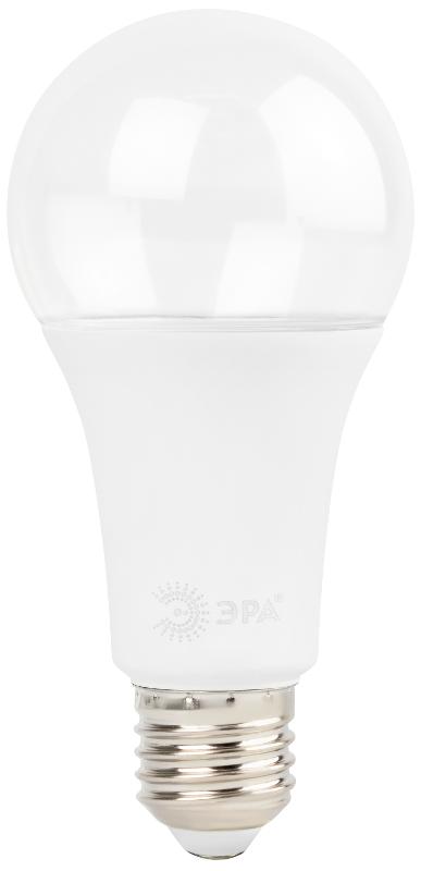 Фитолампа для растений светодиодная  FITO-25W-RB-E27 красно-синего спектра 25 Вт Е27 | Б0069712 | ЭРА — миниатюра 4