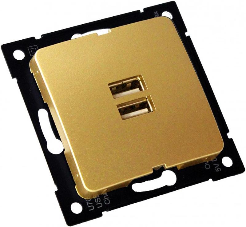 РС-USB-420-07 Розетка "Мастер" USB, С/У, механизм, цвет золото | РС-USB-420-07 | HEGEL — фото 1 | Sento