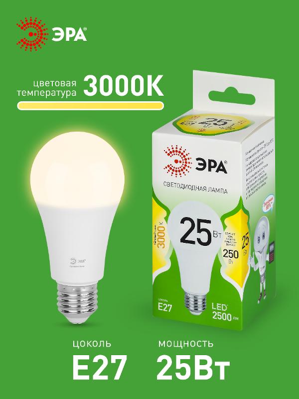 Лампа светодиодная  GREEN LINE LED A60-25W-830-E27 GL E27 25 Вт груша теплый свет | Б0067087 | ЭРА — миниатюра 3