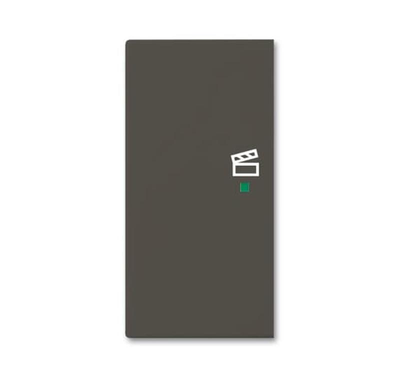 SRS-2-L-95 Клавиша двойная левая free@home, сцена, Basic 55, цвет chateau-black | 6220-0-0694  | 2CKA006220A0694 | ABB — ABB