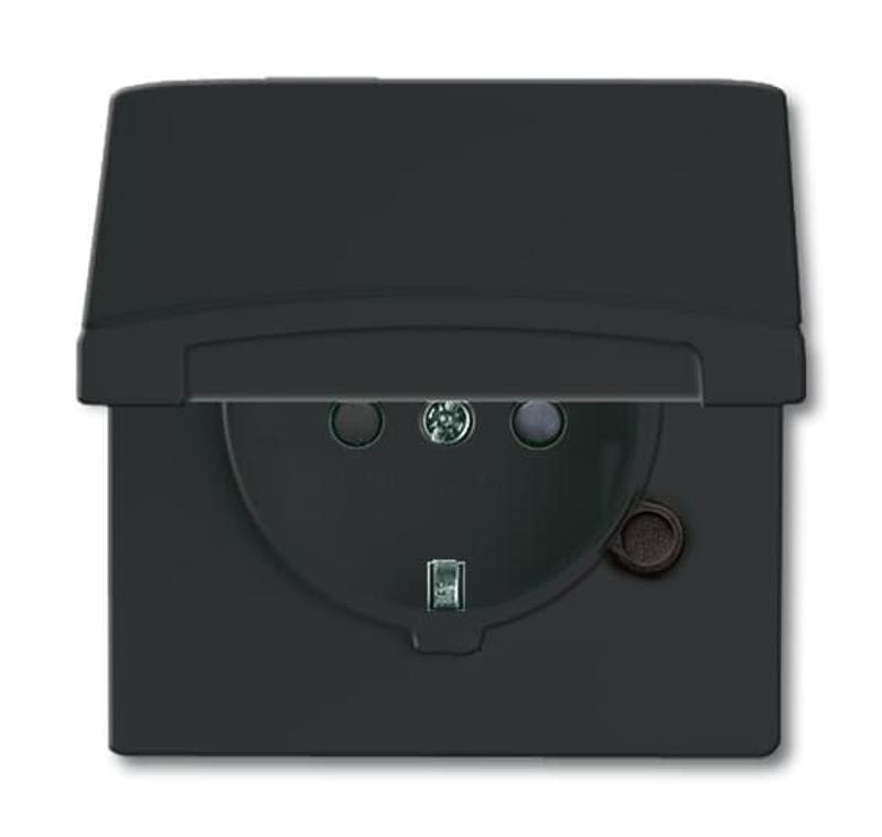 Розетка SCHUKO, 20 EUGKB-35-101, с крышкой, с защитными шторками, Allwetter44, IP44, черный/антрацит, 16А, 250В. | 2064-0-0295  | 2CKA002064A0295 | AB — ABB