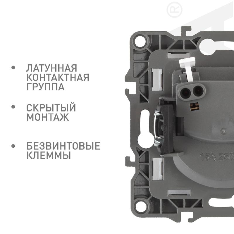 Розетка 12-2105-04 2P, 16АХ-250В, шампань — миниатюра 3