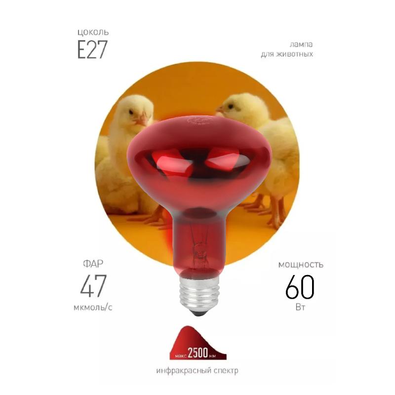 Комплект из 2-х инфракрасных ламп  ИКЗК 230-60 R63 E27 для курятника цыплят птиц животных/лампа для обогрева | Б0072848 | ЭРА — ЭРА (Энергия света)