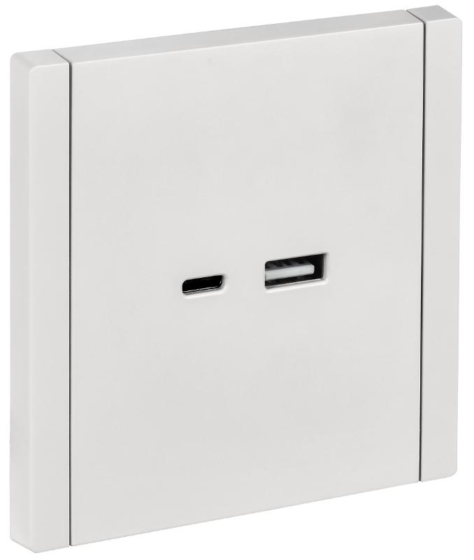 FORTE&PIANO Розетка USB A+C 3,1А FP250 белый | FP-U22-D31-K01 | IEK — IEK (ИЭК)