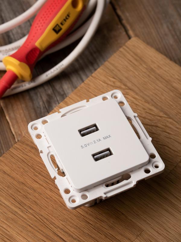 Стокгольм Механизм Розетки USB 2-местной 2,1А белый PROxima | EYR16-028-10-2USB | EKF — миниатюра 11