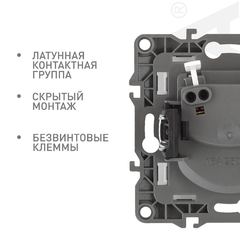 Розетка 12-2105-15 2P, 16АХ-250В, перламутр — миниатюра 4