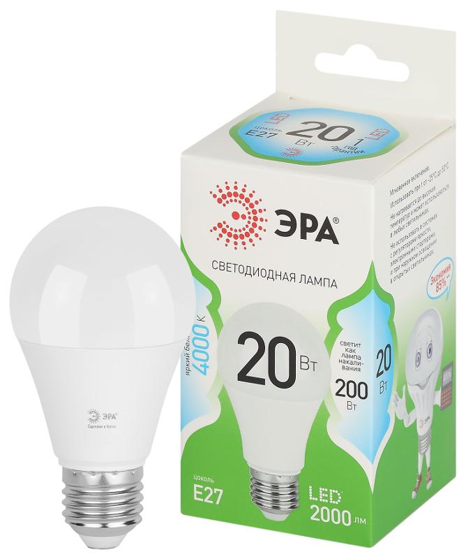 Лампа светодиодная  GREEN LINE LED A60-20W-840-E27 GL E27 20 Вт груша яркий белый свет | Б0067116 | ЭРА — миниатюра 1