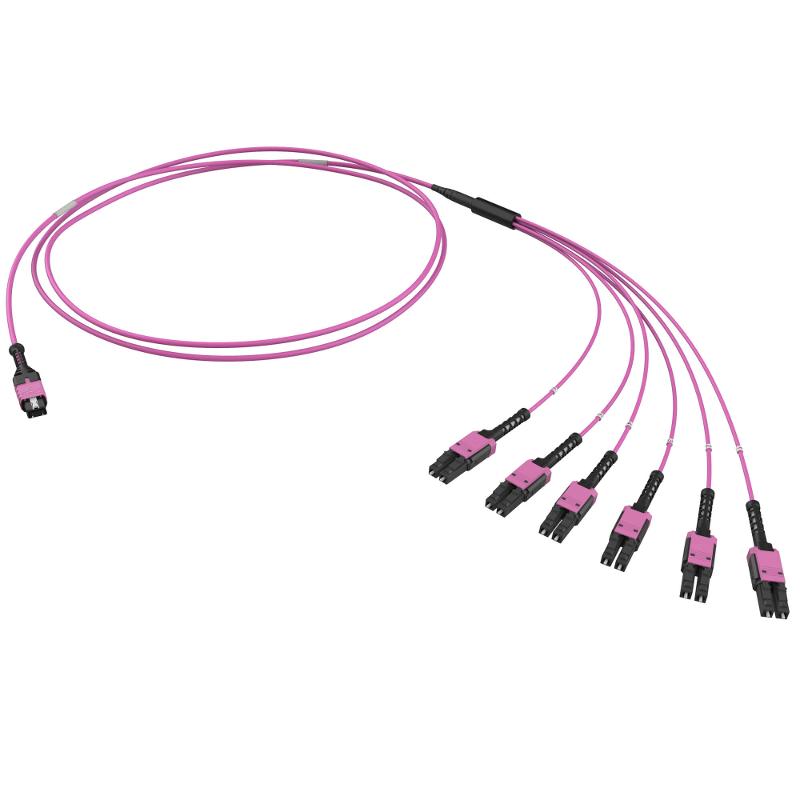 Оптическая разветвительная сборка 12ОВ 50/125 OM4, 1xMTP PRO(12)/6хLC Duplex Uniboot, 2м (предустановленная конфигурация: MTP Male, тип полярности - п — DKC (ДКС)
