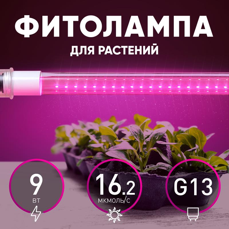 Лампа светодиодная Т8 фито для растений 9Вт G13 красно-синий спектр ЭРА FITO-9W-RB-Т8-G13-NL — миниатюра 3