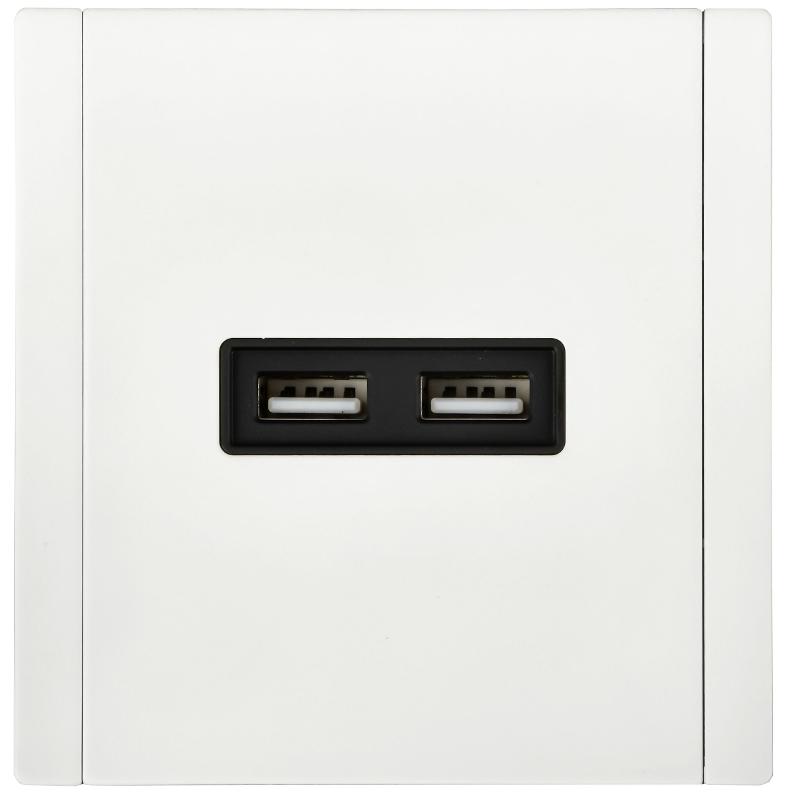 FORTE&PIANO Розетка USB A+A 3,1А FP249M белый | FP-U21-D31-M-K01 | IEK — миниатюра 2