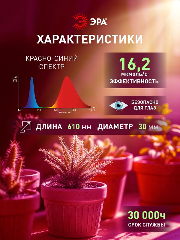 Лампа светодиодная RED LINE LED P45-8W-827-E14 R Е14 / E14 8 Вт шар теплый белый свет | Б0050697 | ЭРА — миниатюра 1