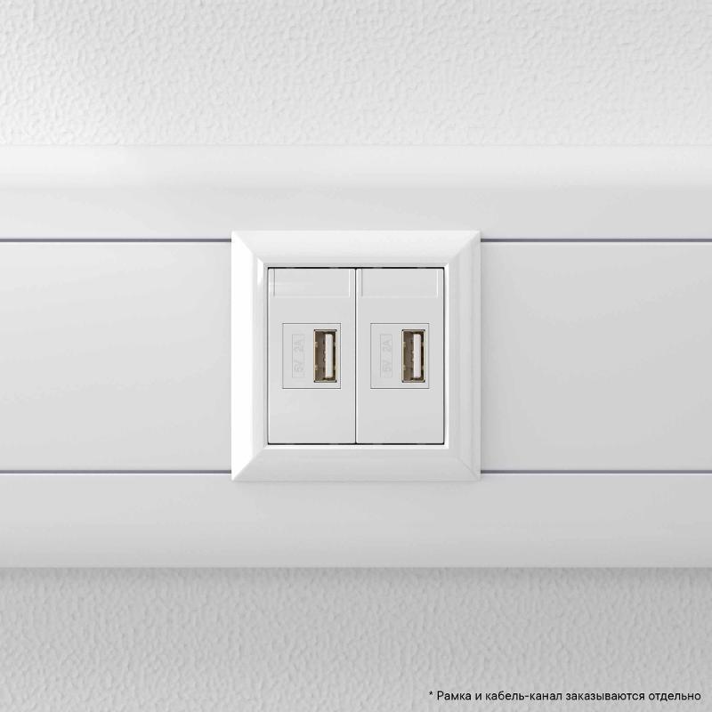 USB зарядное устройство "Белое облако", "Avanti", 2.1А, 2 мод. | 4400542 | DKC — миниатюра 9