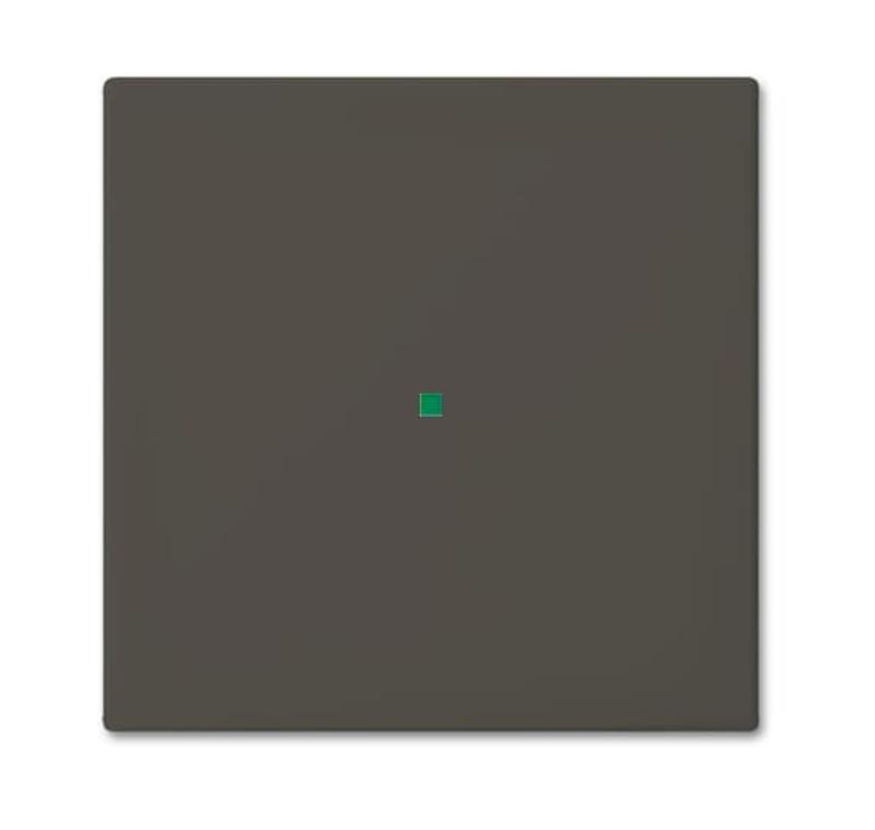 SR-1-95 Клавиша одинарная free@home, Basic 55, цвет chateau-black | 6220-0-0686  | 2CKA006220A0686 | ABB — ABB