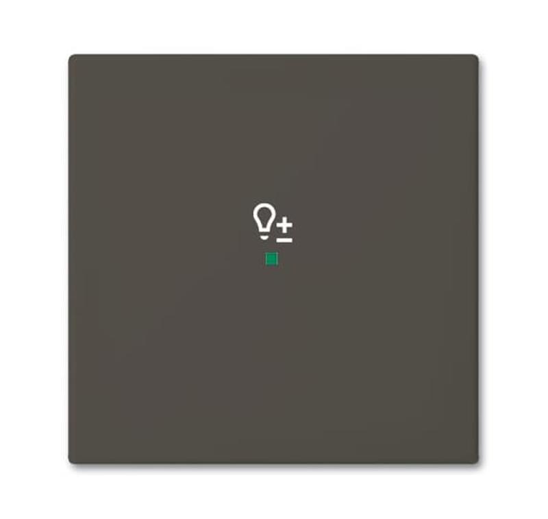 SRD-1-95 Клавиша одинарная free@home, светорегулятор, Basic 55, цвет chateau-black | 6220-0-0690  | 2CKA006220A0690 | ABB — ABB