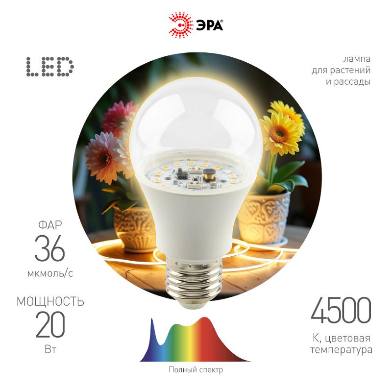 Фитолампа для растений светодиодная  FITO-20W-Ra90-E27 полного спектра 20 Вт Е27 | Б0069711 | ЭРА — ЭРА (Энергия света)