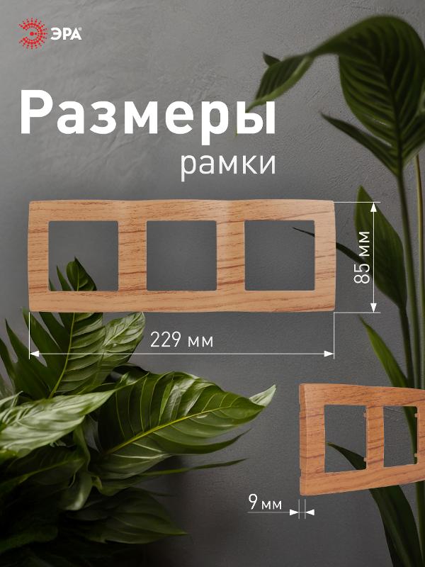 Рамка на 3 поста 12-5003-09  ,  дуб  |Б0014769 | ЭРА — миниатюра 4