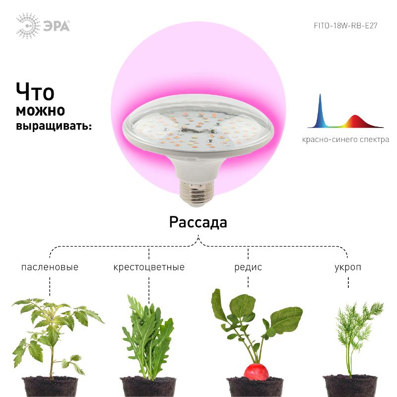 Светильник светодиодный для растений FITO-18W-RB-E27 (30/840) | Б0049533 | ЭРА — миниатюра 5