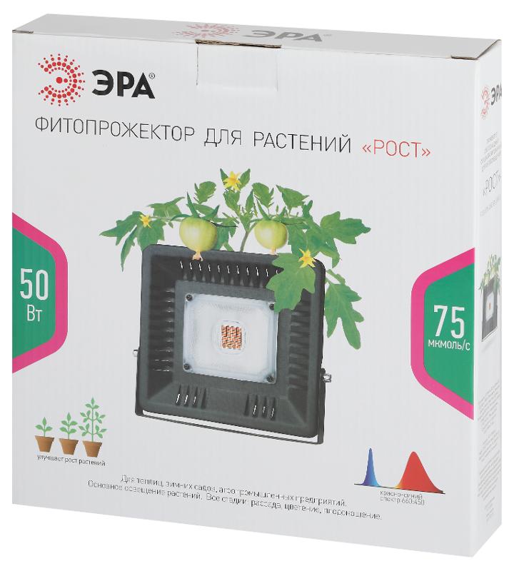 Прожектор светодиодный фито для растений красно-синий спектр FITO-50W-LED BLUERED | Б0039033 | ЭРА — миниатюра 3
