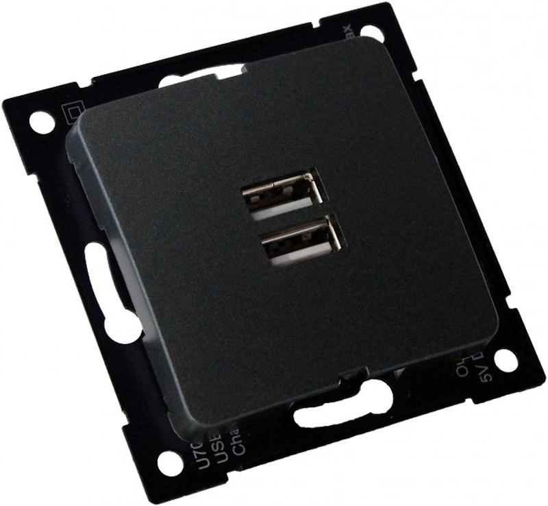 РС-USB-420-08 Розетка "Мастер" USB, С/У, механизм, цвет черный | РС-USB-420-08 | HEGEL — фото 1 | Sento
