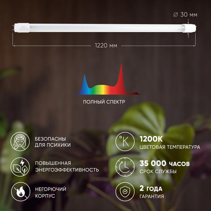 Лампа светодиодная Т8 фито для растений 18Вт G13 белый спектр ЭРА FITO-18W-Ra90-Т8-G13-NL | Б0042987 | ЭРА — миниатюра 5