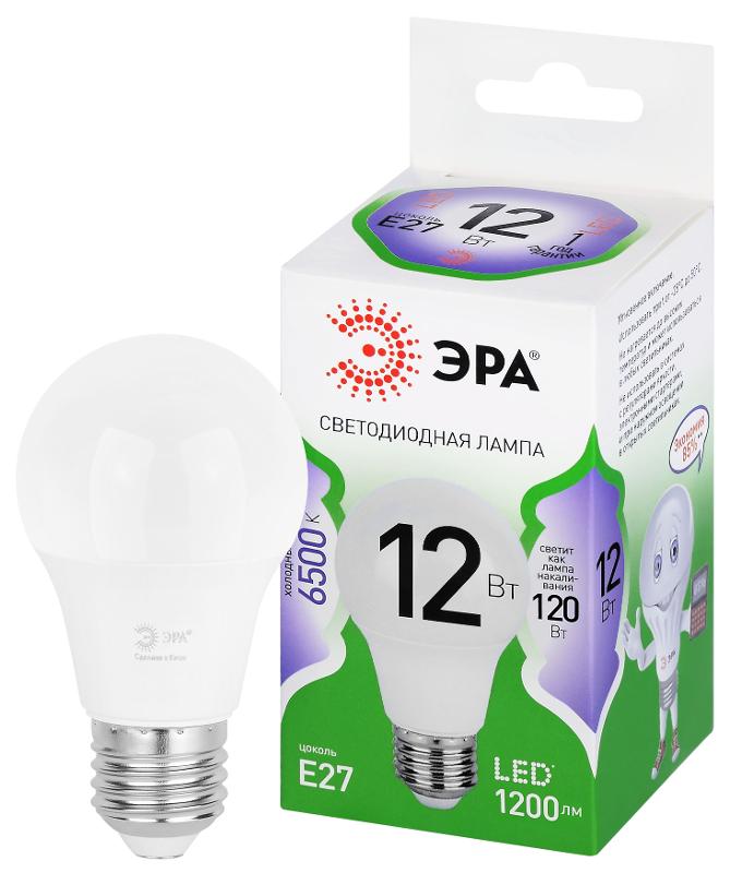 Лампа светодиодная  GREEN LINE LED A60-12W-865-E27 GL E27 12 Вт груша холодный свет | Б0067129 | ЭРА — ЭРА (Энергия света)