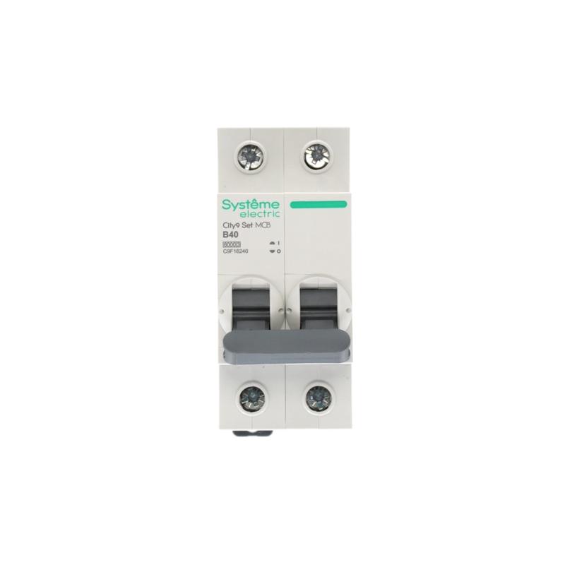 Выключатель автоматический двухполюсный 40A B 6kA City9 | C9F16240 |Systeme Electric — миниатюра 7