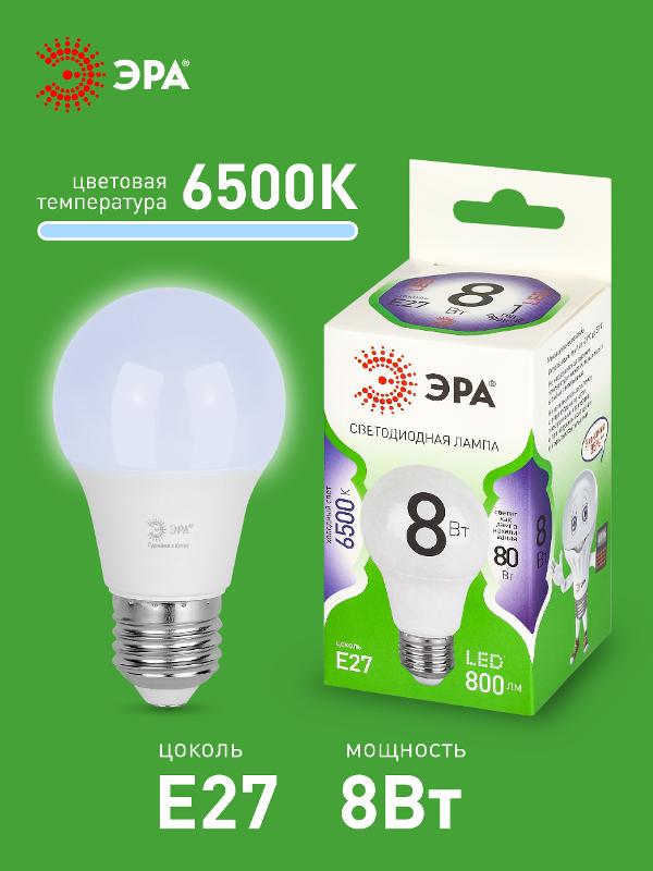 Лампа светодиодная  GREEN LINE LED A60-8W-865-E27 GL E27 8 Вт груша холодный свет | Б0067142 | ЭРА — миниатюра 3