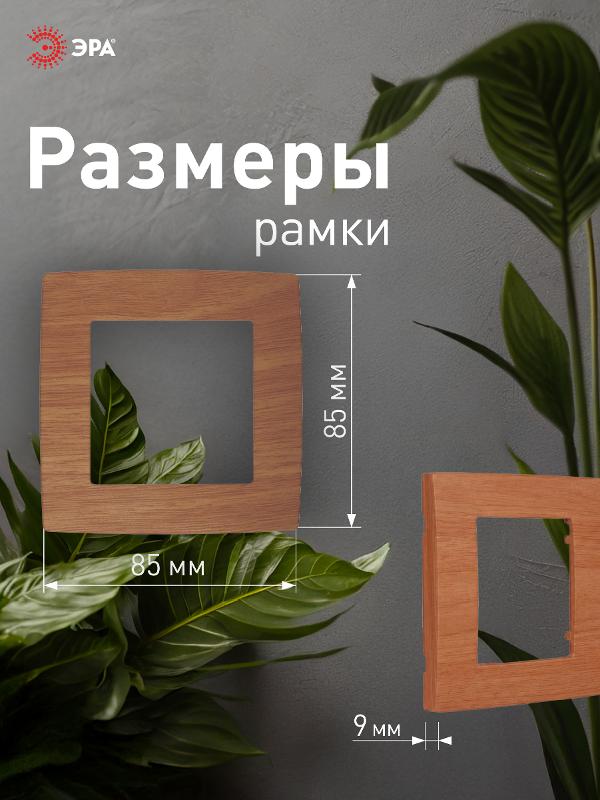 Рамка на 1 пост 12-5001-09  ,  дуб  |Б0014749 | ЭРА — миниатюра 4