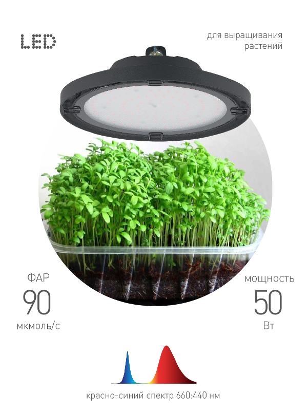 Фитопрожектор для растений светодиодный 50Вт FITO-50W-RB-LED-UFO красно-синего спектра | Б0053280 | ЭРА — ЭРА (Энергия света)