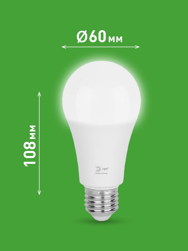 Лампа светодиодная  GREEN LINE LED A60-25W-840-E27 GL E27 25 Вт груша яркий белый свет | Б0067117 | ЭРА — миниатюра 2