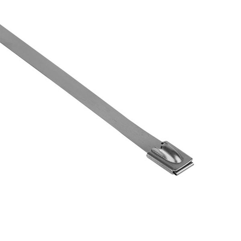 Хомут AISI 304 из нержавеющей стали, 7.9x520 (10 шт.) FlexLock PROxima | plc-fl-tss-304-7.9x520-r | EKF — миниатюра 7