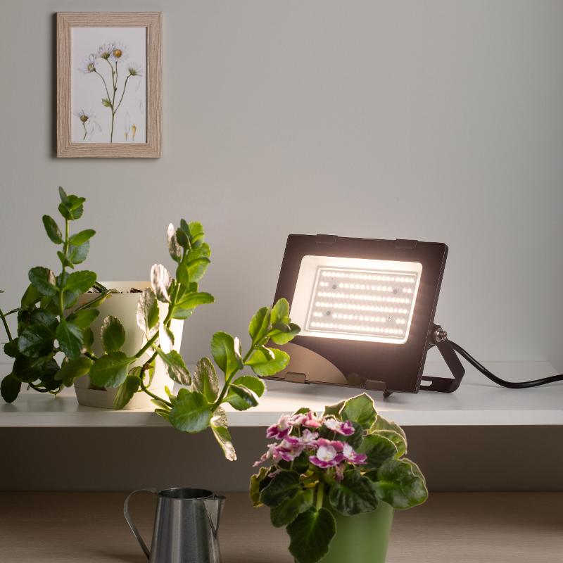 Прожектор светодиодный фито для растений FITO-50W-Ra90-LED для цветения и плодоношения (10/300) — миниатюра 7