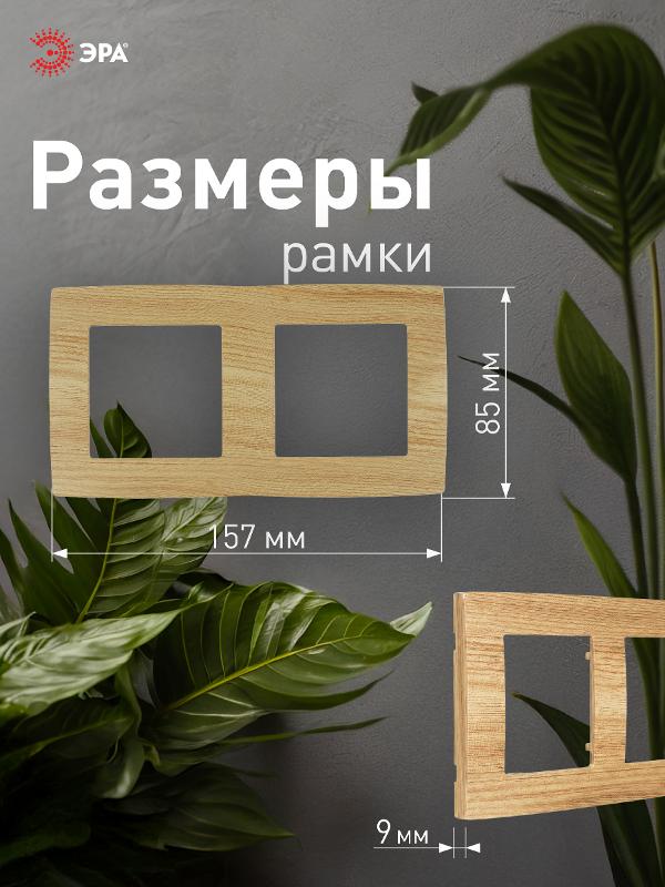 Рамка на 2 поста 12-5002-11  ,  сосна  |Б0019147 | ЭРА — миниатюра 4