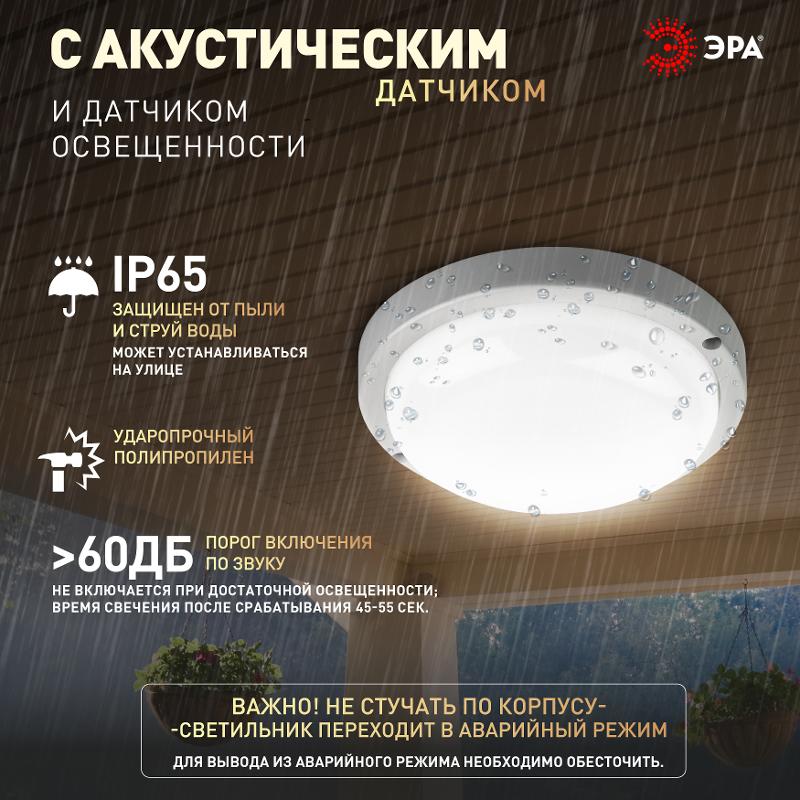 Светильник светодиодный пылевлагозащищенный для ЖКХ SPB-201-2-40К-012 12Вт 1140Лм 4000К IP65 опт-ак ДД | Б0047636 | Эра — миниатюра 3