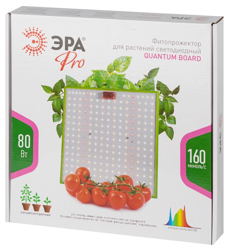 Фитопрожектор для растений светодиодный 80Вт FITO-80W-LED-QB Quantum board | Б0053285 | ЭРА — миниатюра 2