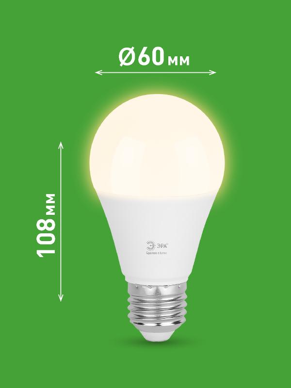 Лампа светодиодная  GREEN LINE LED A60-20W-830-E27 GL E27 20 Вт груша теплый свет | Б0067106 | ЭРА — миниатюра 2