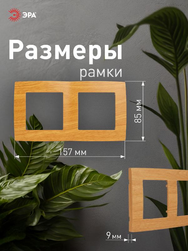 Рамка на 2 поста 12-5002-07  ,  ольха  |Б0014757 | ЭРА — миниатюра 4