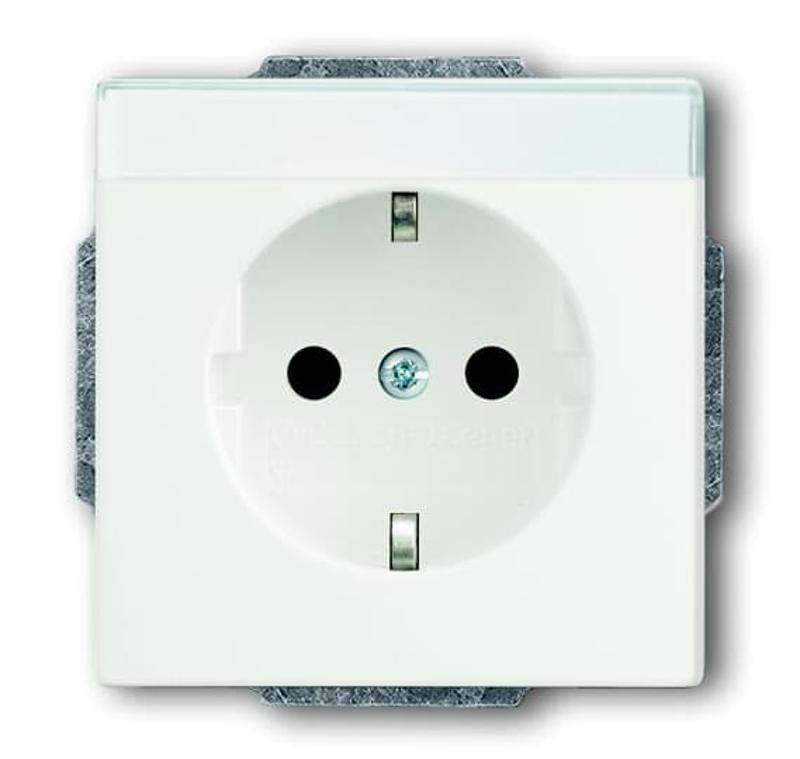 Розетка SCHUKO 16А 250В поле для надписи, Future/Axcent/Carat/Династия, белый бархат | 2CKA002011A3881 | ABB — ABB