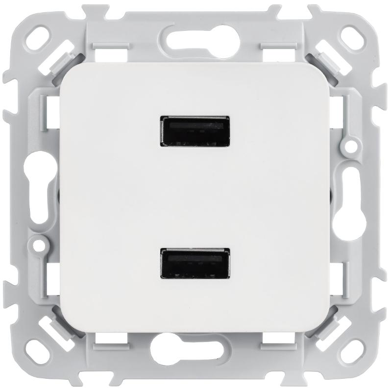 FLITE Розетка USB A+A 2,1А РЮ-2-ФлБ белый | FI-U21-D31-K01 | IEK — миниатюра 2