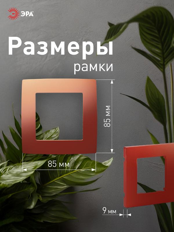 Рамка на 1 пост 12-5001-24  ,  охра  |Б0019389 | ЭРА — миниатюра 4