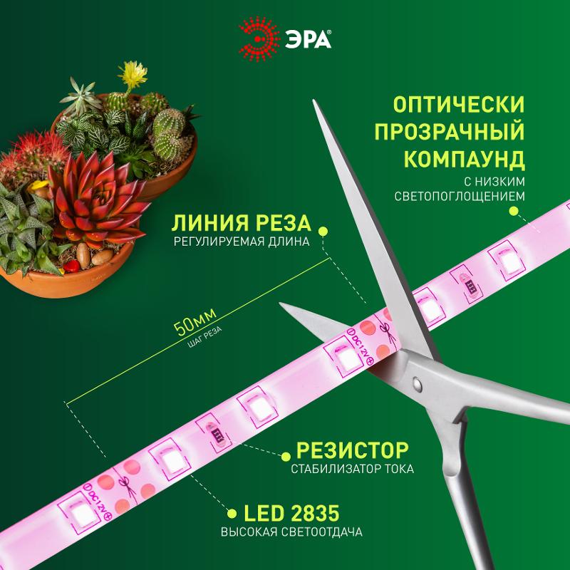 Светодиодная лента для растений  FITO-Strip Light-RB-27W-3m-12V-IP65 красно-синего спектра 3м IP65 с адаптером 12V | Б0064617 | ЭРА — миниатюра 3