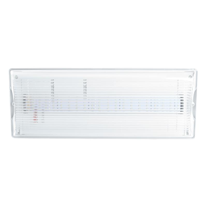 Светильник аварийный, 20 LED AC/DC, белый, EM100 с наклейкой ВЫХОД IP54 3 часа | 41535 | FERON — миниатюра 2